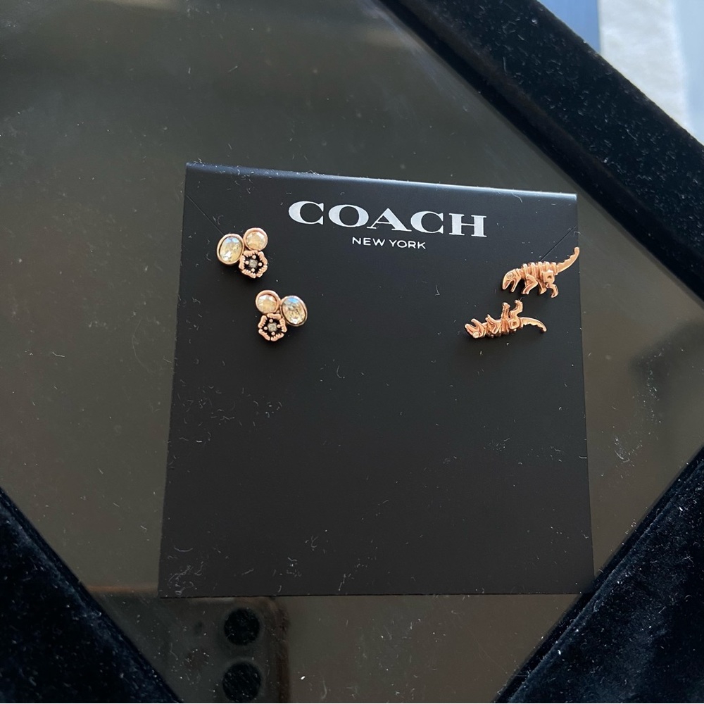 COPY - Coach Rexy rose gold and tea rose earring bundle
